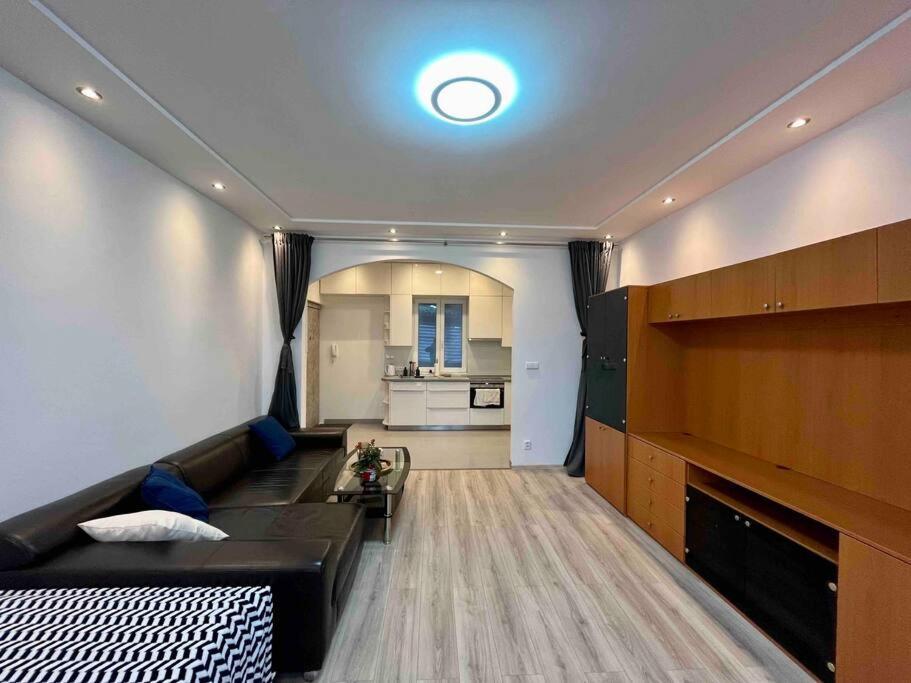 Modern Flat In Prag